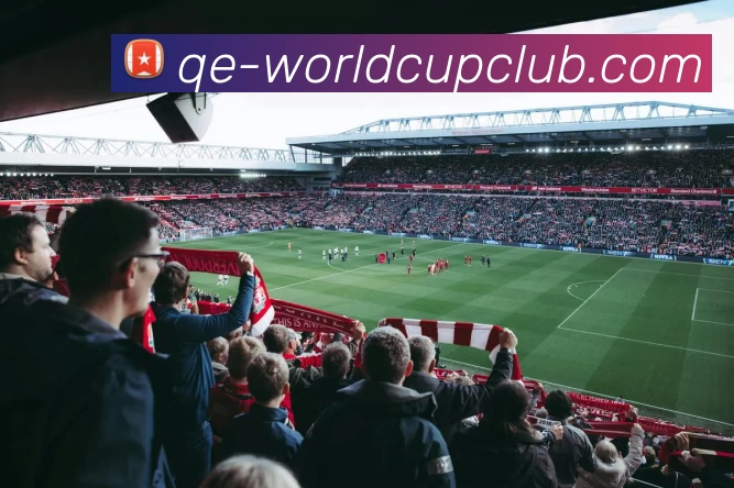 世界杯WorldCup平台服务体系